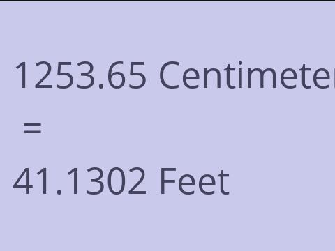 1253.65 CM TO FEET