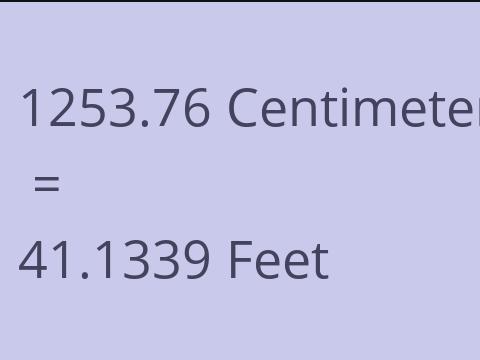 1253.76 CM TO FEET