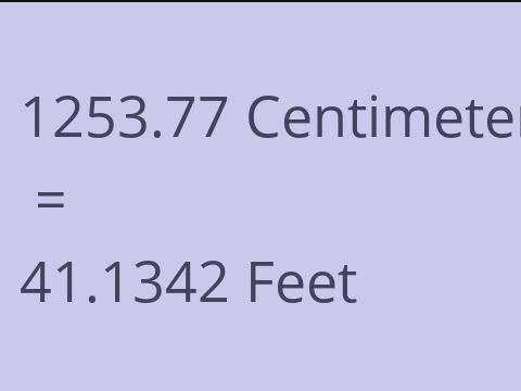 1253.77 CM TO FEET