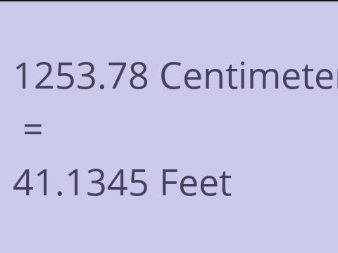 1253.78 CM TO FEET