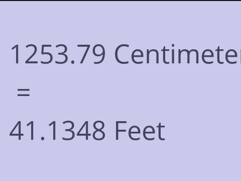 1253.79 CM TO FEET