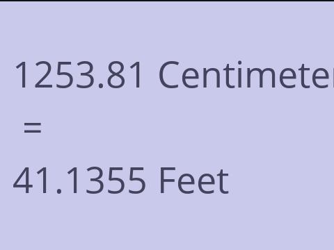 1253.81 CM TO FEET