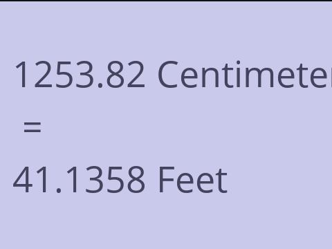 1253.82 CM TO FEET