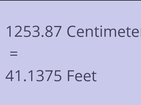 1253.87 CM TO FEET