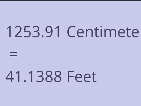 1253.91 CM TO FEET