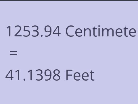 1253.94 CM TO FEET