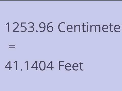 1253.96 CM TO FEET