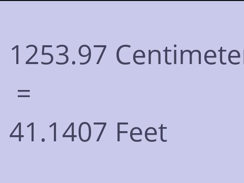 1253.97 CM TO FEET