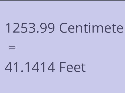 1253.99 CM TO FEET