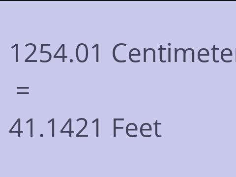 1254.01 CM TO FEET