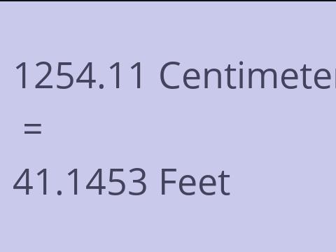 1254.11 CM TO FEET