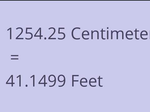 1254.25 CM TO FEET