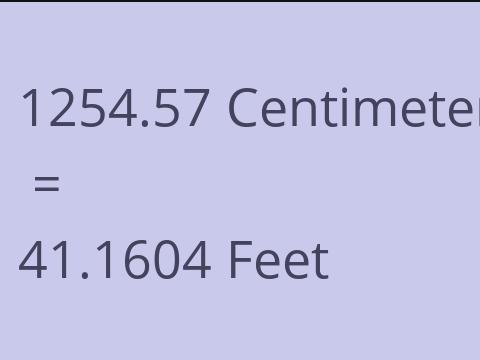 1254.57 CM TO FEET