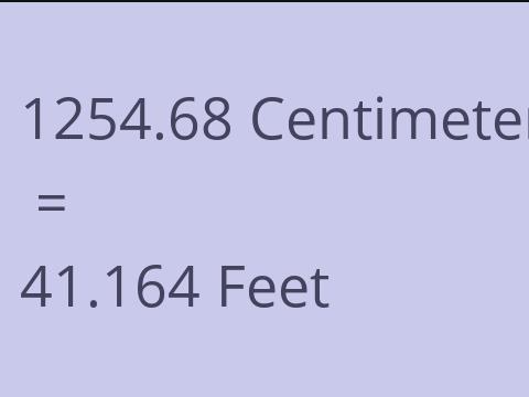 1254.68 CM TO FEET