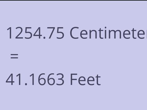 1254.75 CM TO FEET