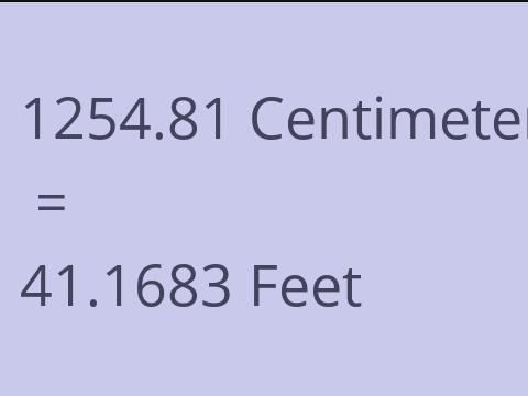 1254.81 CM TO FEET