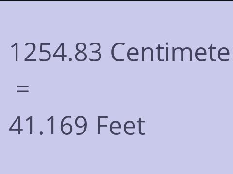 1254.83 CM TO FEET