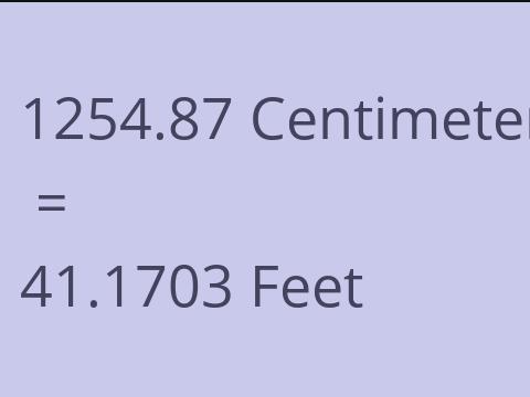 1254.87 CM TO FEET