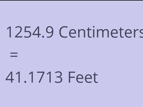 1254.9 CM TO FEET