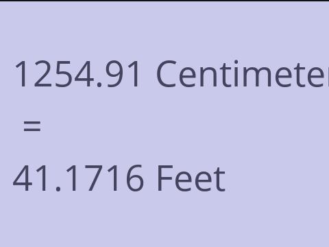 1254.91 CM TO FEET