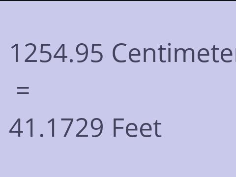 1254.95 CM TO FEET