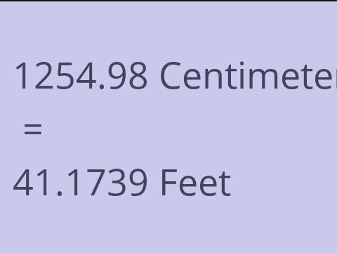 1254.98 CM TO FEET