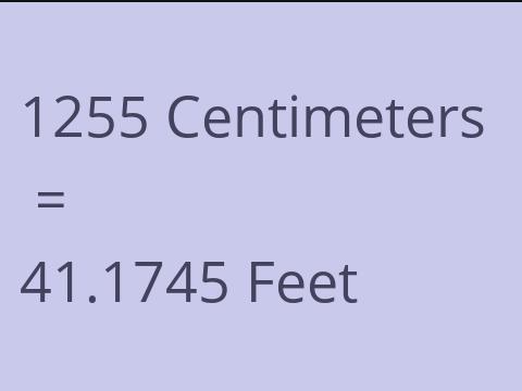 1255 CM TO FEET