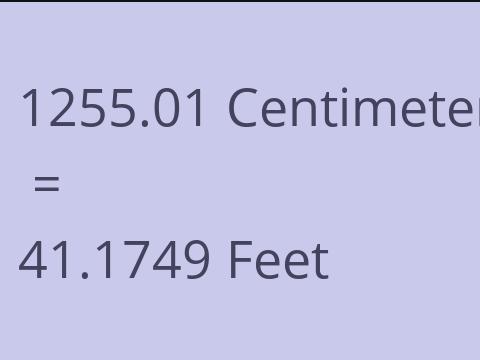 1255.01 CM TO FEET