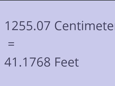 1255.07 CM TO FEET