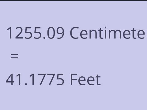 1255.09 CM TO FEET