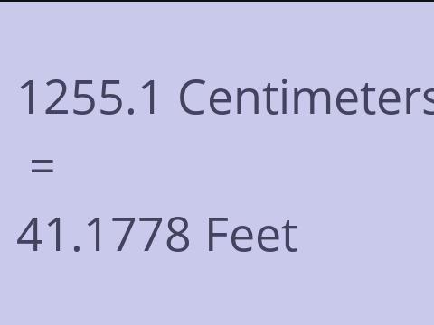 1255.1 CM TO FEET