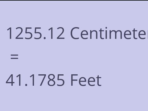 1255.12 CM TO FEET