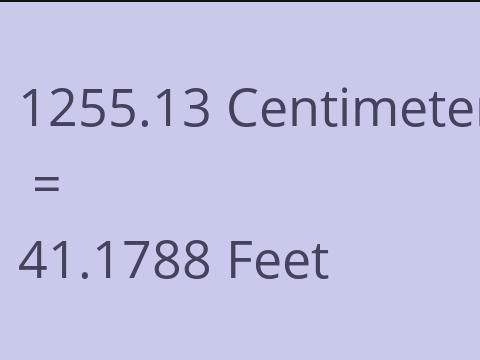 1255.13 CM TO FEET