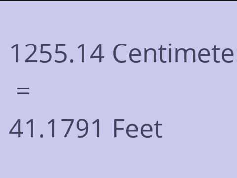 1255.14 CM TO FEET