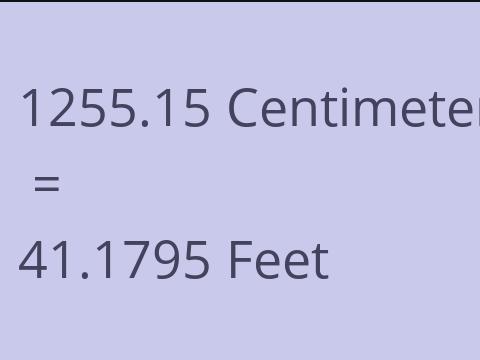 1255.15 CM TO FEET