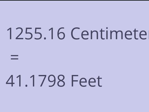 1255.16 CM TO FEET