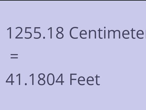 1255.18 CM TO FEET