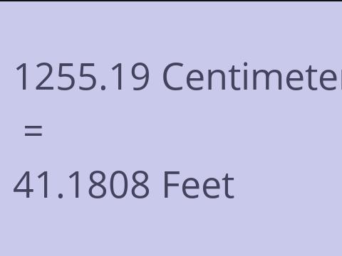 1255.19 CM TO FEET