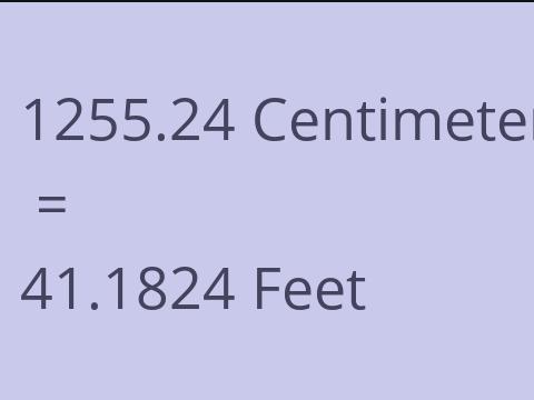 1255.24 CM TO FEET