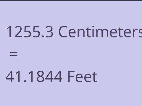 1255.3 CM TO FEET