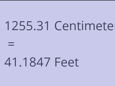 1255.31 CM TO FEET