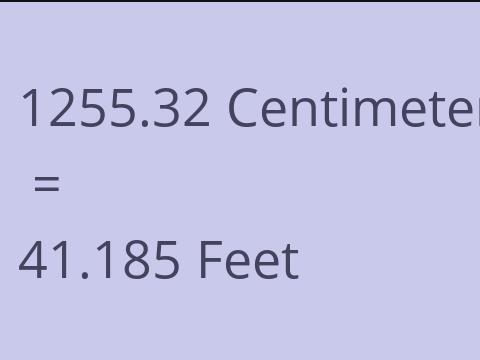 1255.32 CM TO FEET