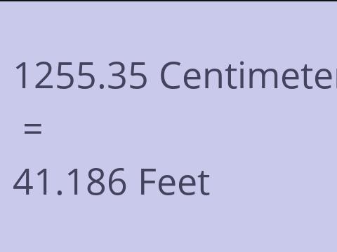 1255.35 CM TO FEET