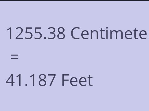 1255.38 CM TO FEET