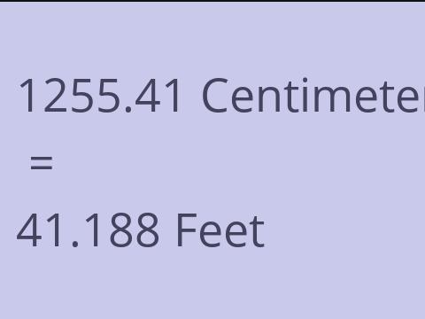 1255.41 CM TO FEET