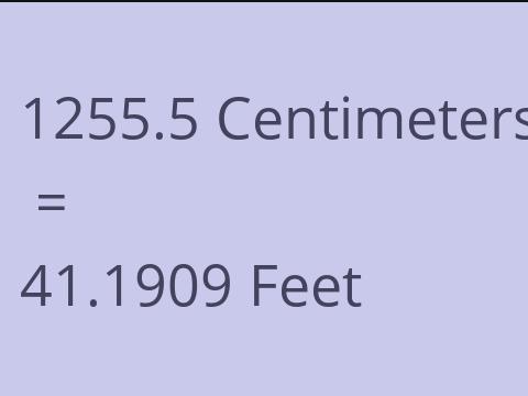 1255.5 CM TO FEET