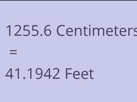 1255.6 CM TO FEET