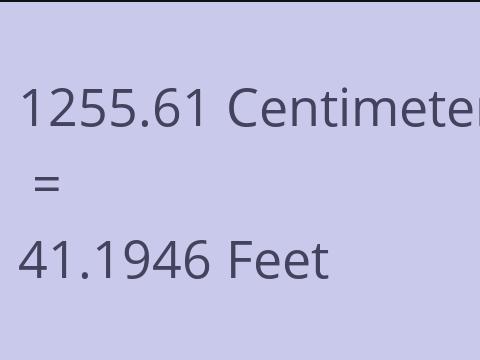 1255.61 CM TO FEET