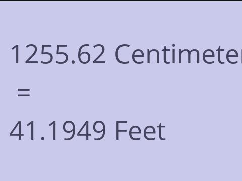 1255.62 CM TO FEET