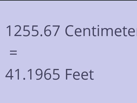 1255.67 CM TO FEET